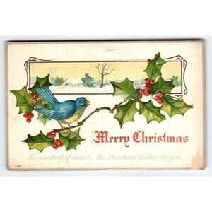 Vintage Christmas Postcard Blue Bird Holly Berries Winter Scene